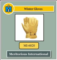 Winter Gloves